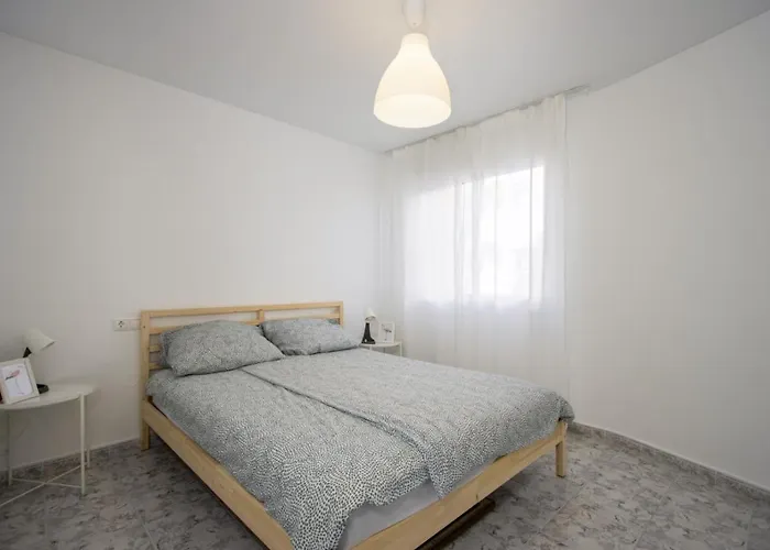 Daire Alegria Id113 *